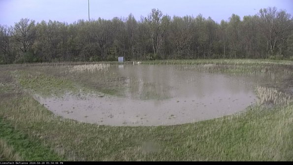 Cell 4_24-04-28_17-34-07-37