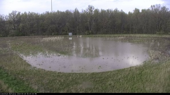 Cell 4_24-04-28_18-07-36-35