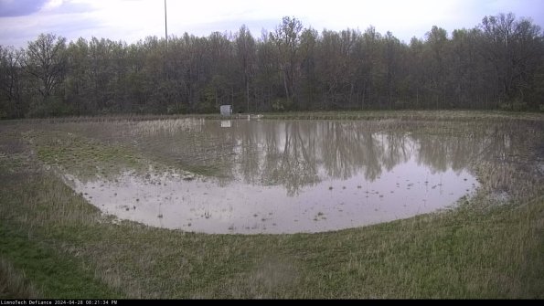 Cell 4_24-04-28_20-21-35-34