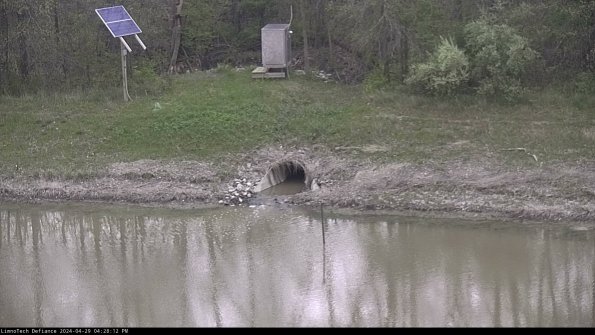 Basin Inflow_24-04-29_16-28-12-57