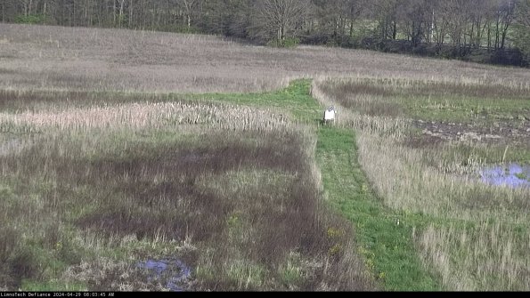 Cell 1 to 2_24-04-29_08-03-46-34