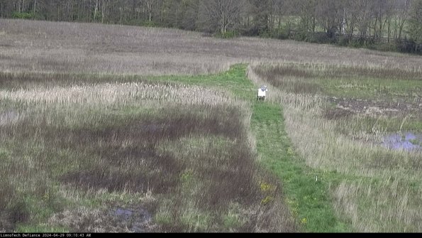 Cell 1 to 2_24-04-29_09-10-44-35