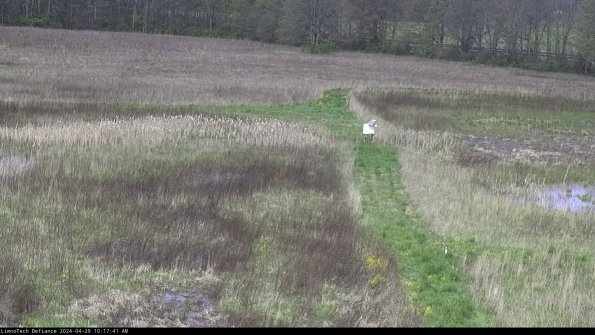 Cell 1 to 2_24-04-29_10-17-42-32