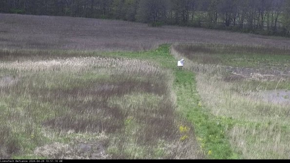 Cell 1 to 2_24-04-29_10-51-11-34