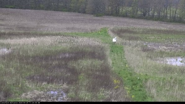 Cell 1 to 2_24-04-29_11-24-39-36