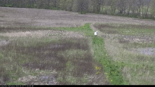 Cell 1 to 2_24-04-29_11-58-09-35