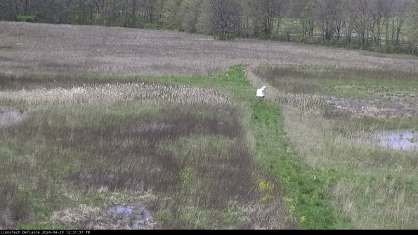 Cell 1 to 2_24-04-29_12-31-38-37