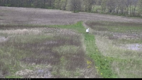 Cell 1 to 2_24-04-29_13-05-07-36