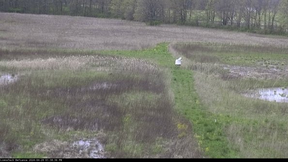 Cell 1 to 2_24-04-29_13-38-37-38