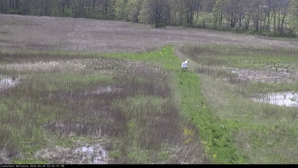 Cell 1 to 2_24-04-29_14-45-38-35