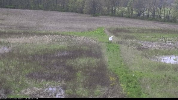 Cell 1 to 2_24-04-29_15-19-08-34