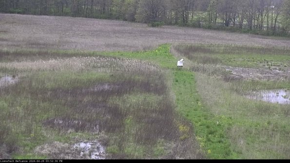 Cell 1 to 2_24-04-29_15-52-37-36