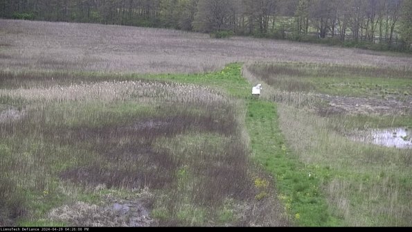 Cell 1 to 2_24-04-29_16-26-07-35