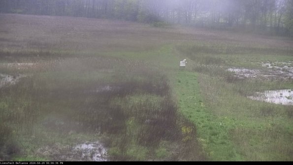 Cell 1 to 2_24-04-29_18-06-37-34