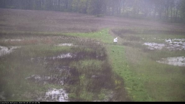 Cell 1 to 2_24-04-29_19-47-04-33