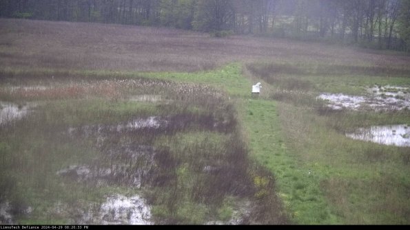 Cell 1 to 2_24-04-29_20-20-34-35