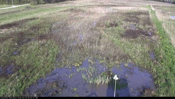 Cell 1_24-04-29_08-03-32-36