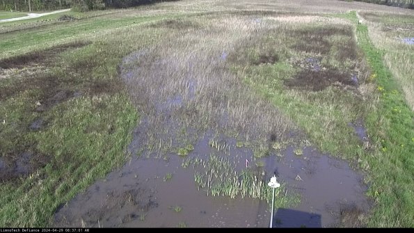 Cell 1_24-04-29_08-37-02-35