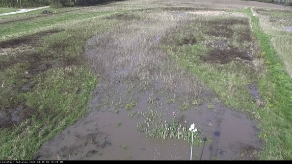 Cell 1_24-04-29_09-10-30-34