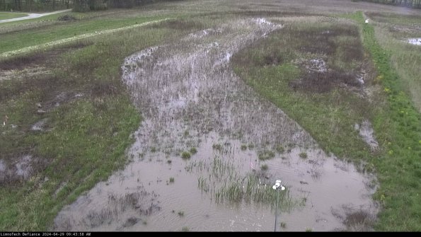 Cell 1_24-04-29_09-43-59-32