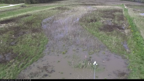 Cell 1_24-04-29_10-17-28-34