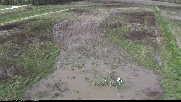 Cell 1_24-04-29_10-50-57-33