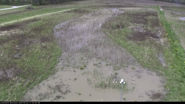 Cell 1_24-04-29_11-24-25-35