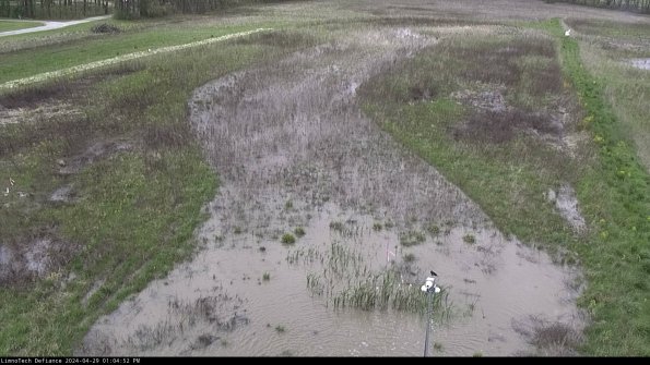 Cell 1_24-04-29_13-04-53-34