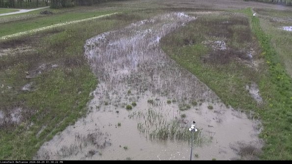 Cell 1_24-04-29_13-38-23-36