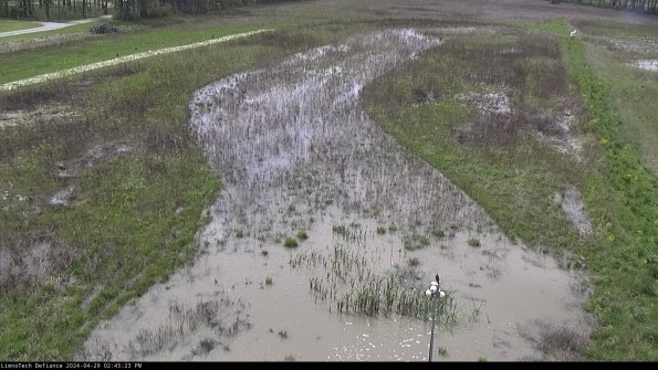 Cell 1_24-04-29_14-45-24-34