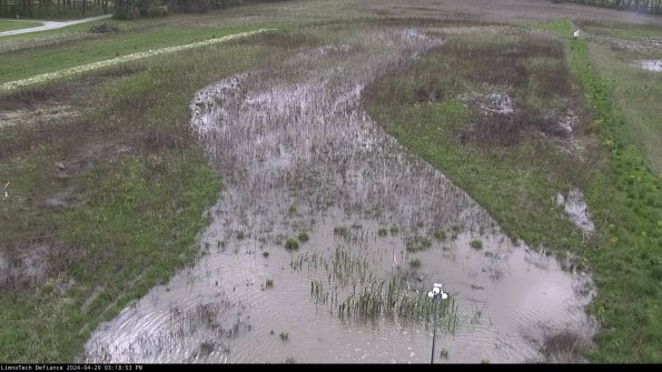 Cell 1_24-04-29_15-18-54-36