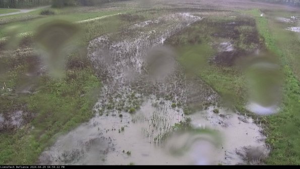 Cell 1_24-04-29_16-59-23-35