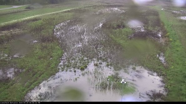 Cell 1_24-04-29_18-06-23-32