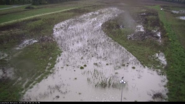 Cell 1_24-04-29_20-20-20-33