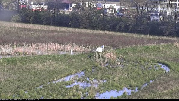 Cell 2 to 3_24-04-29_07-30-44-42