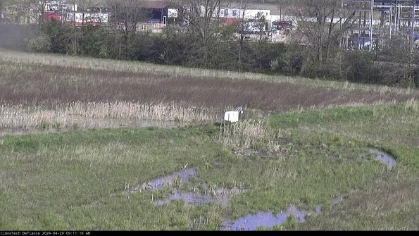 Cell 2 to 3_24-04-29_09-11-10-51