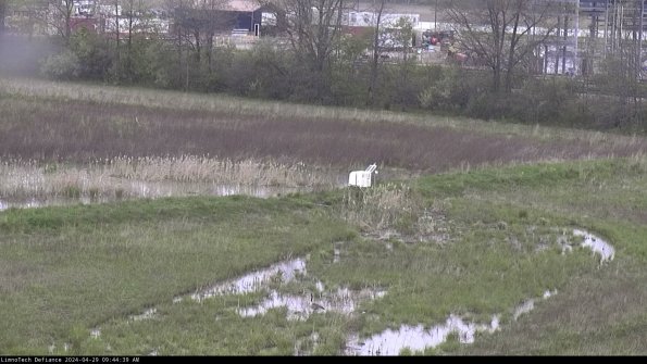 Cell 2 to 3_24-04-29_09-44-39-50