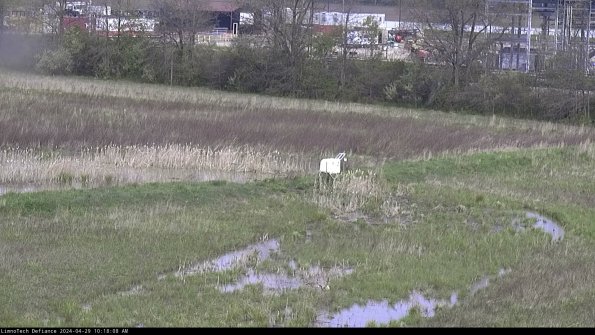 Cell 2 to 3_24-04-29_10-18-08-48