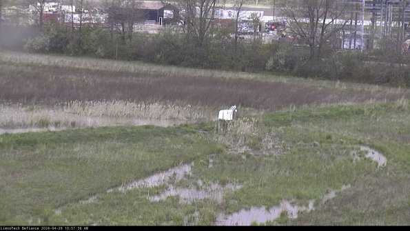 Cell 2 to 3_24-04-29_10-51-37-40