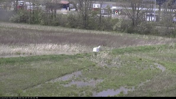 Cell 2 to 3_24-04-29_13-05-33-45