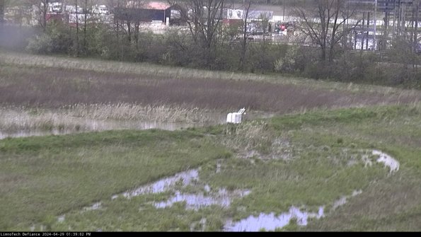 Cell 2 to 3_24-04-29_13-39-03-44