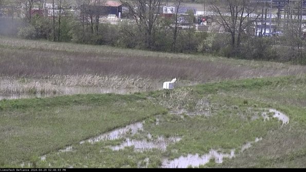 Cell 2 to 3_24-04-29_14-46-04-48