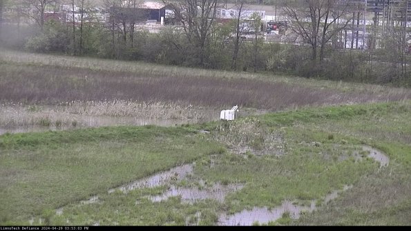 Cell 2 to 3_24-04-29_15-53-03-52