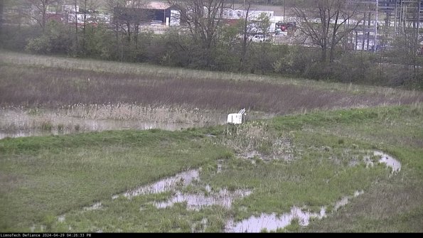 Cell 2 to 3_24-04-29_16-26-33-51