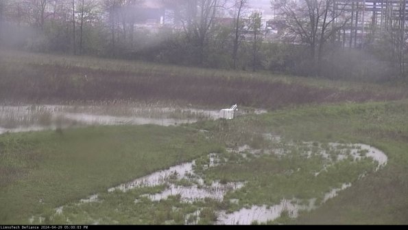 Cell 2 to 3_24-04-29_17-00-03-46