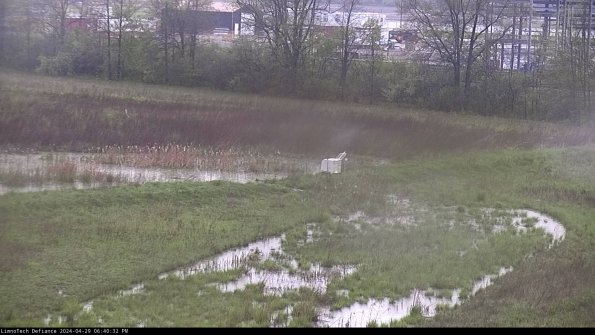 Cell 2 to 3_24-04-29_18-40-32-48