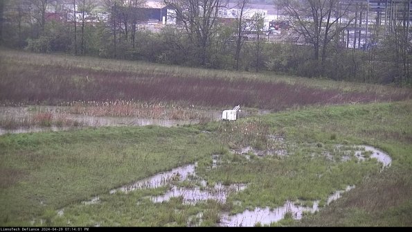 Cell 2 to 3_24-04-29_19-14-02-40