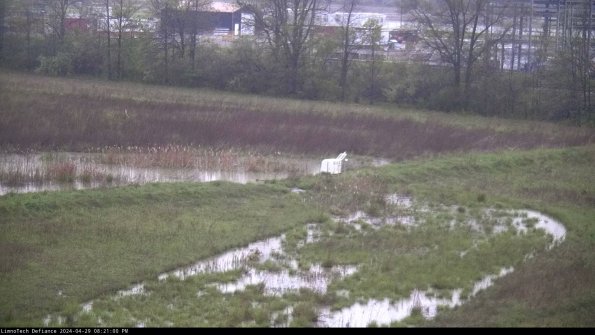 Cell 2 to 3_24-04-29_20-21-00-47