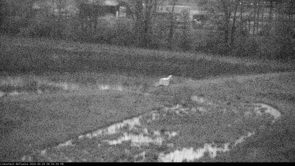 Cell 2 to 3_24-04-29_20-54-30-59