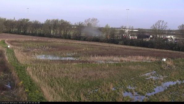 Cell 2_24-04-29_07-30-31-37